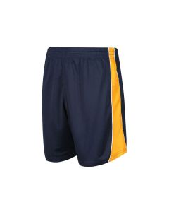 Ian Ramsey Academy – PE Shorts