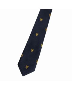 Egglescliffe School Band Tie